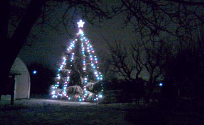 L’albero di Natale a Leinì