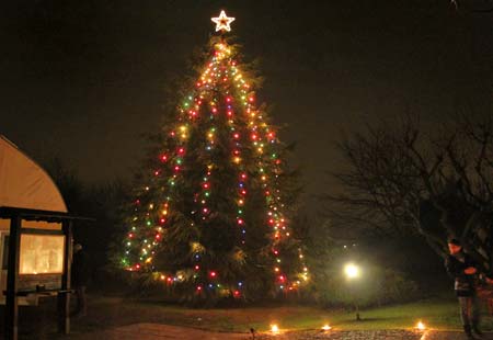 L’albero di Natale nel monastero di Anima Universale a Leini