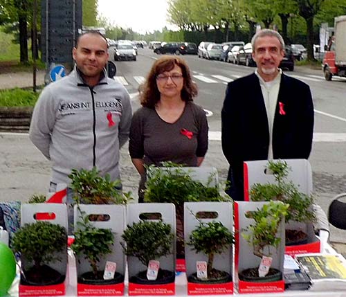  Volontari della Chiesa Anima Universale per Bonsai Anlaids