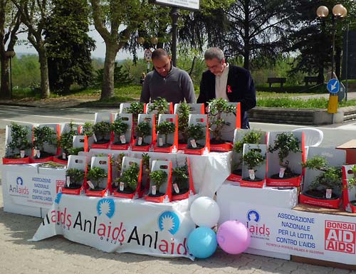  Volontari della Chiesa Anima Universale per Bonsai Anlaids