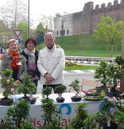 Volontari della Chiesa Anima Universale per Bonsai Anlaids