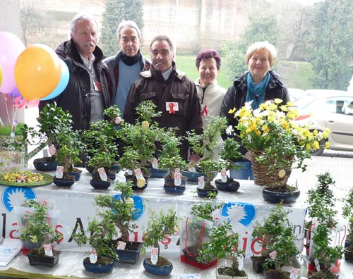 Volontari della Chiesa Anima Universale per Bonsai Anlaids Volontari della Chiesa Anima Universale per Bonsai Anlaids